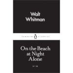 On the Beach at Night Alone