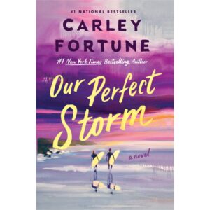Our Perfect Storm
